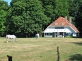 weidegang paarden