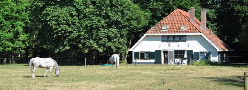 vakantiehuis de koepel